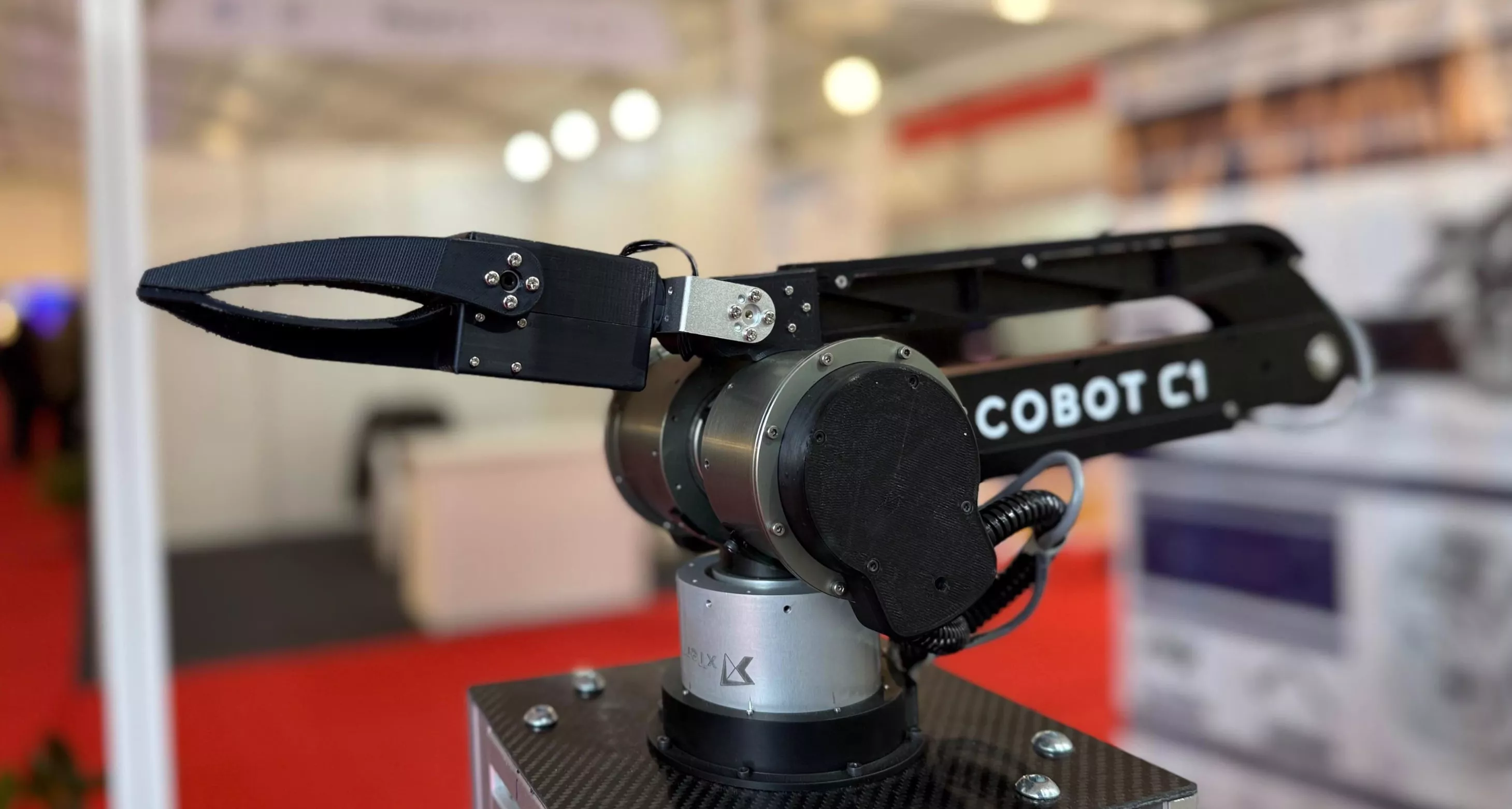 Development Milestone 20