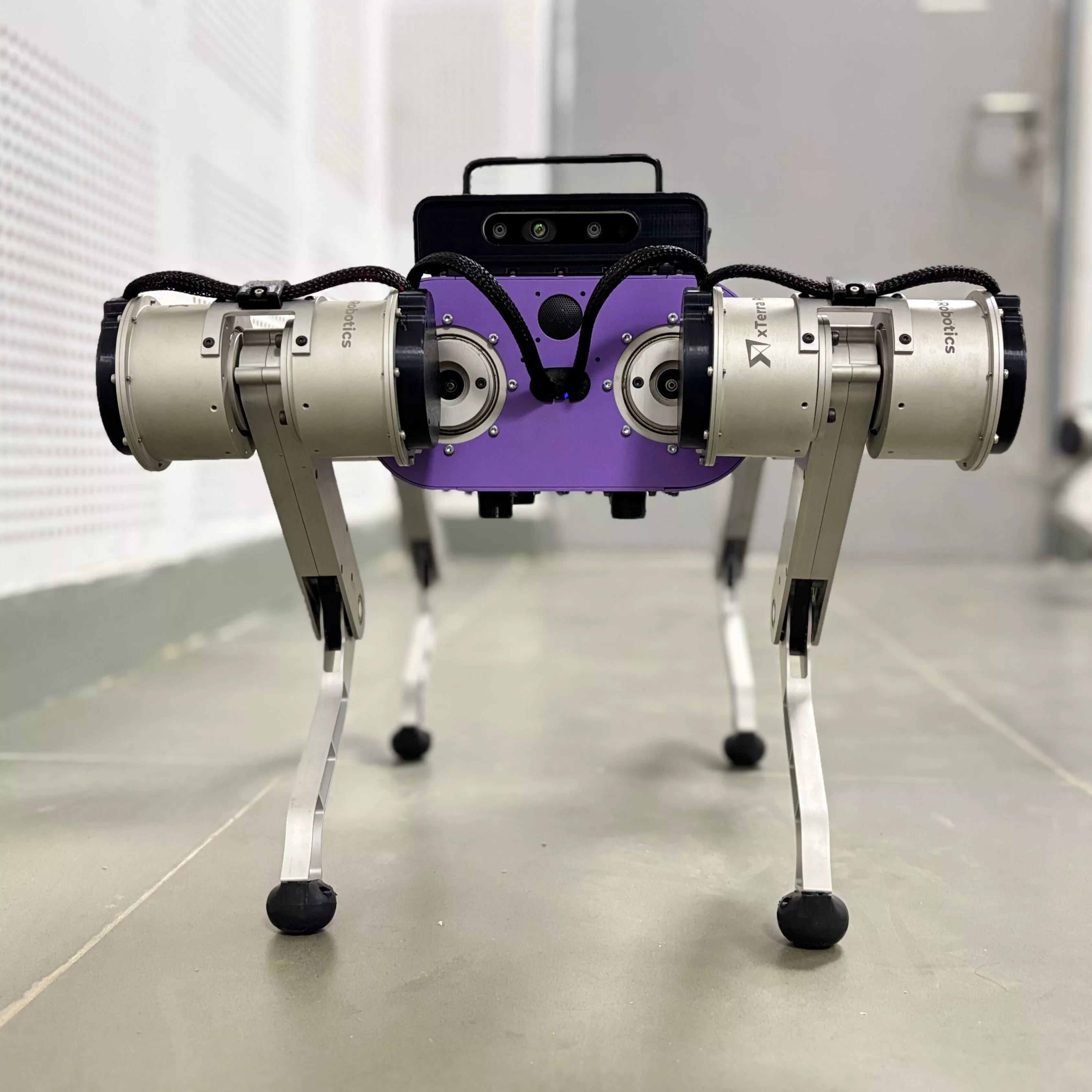 Development Milestone 6